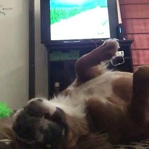 Meet your Posher, Ana